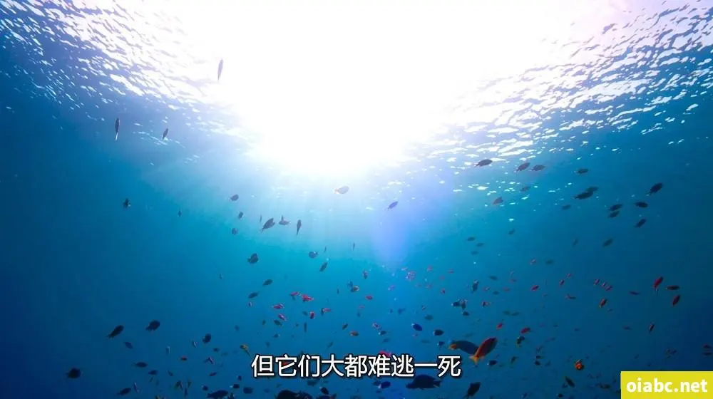 人人干日韩剧照2